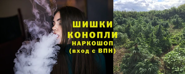 ГАЛЛЮЦИНОГЕННЫЕ ГРИБЫ Ступино