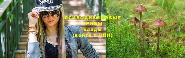 МДПВ Абаза