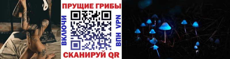 нарко площадка формула  Сычёвка  Псилоцибиновые грибы Cubensis  как найти  